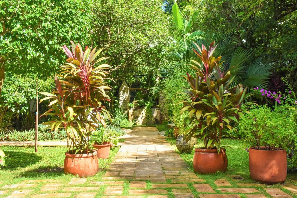 فندق Casa Marlene فالادوليد المظهر الخارجي الصورة